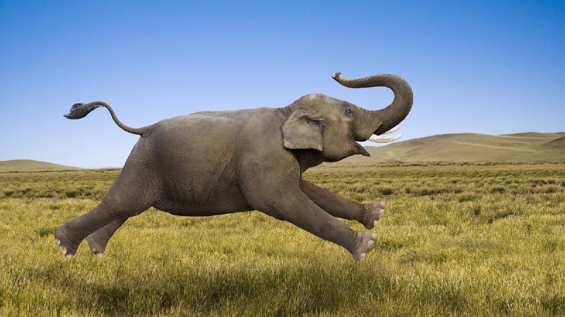 How we increased our PHP app performance by 80% with Laravel and Swoole