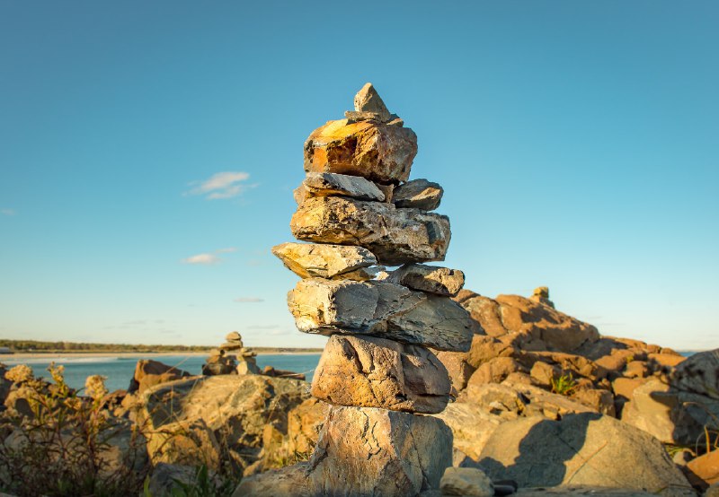 VILT Stack - A future-proof way to build with Laravel in 2020