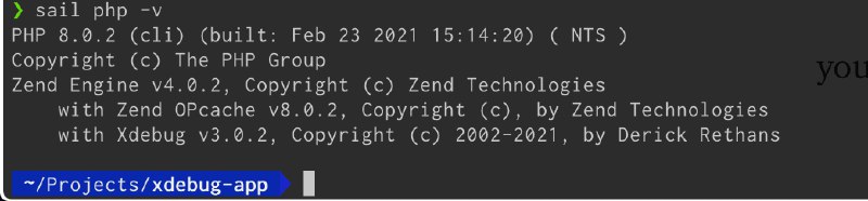 Setup Xdebug in Laravel 8 like a boss