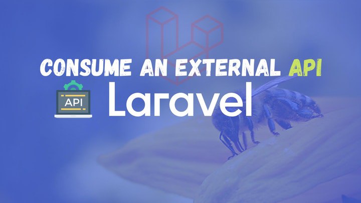 How to consume an external API with Laravel and Guzzle
