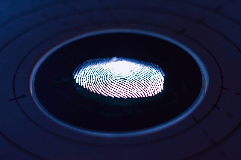 Laravel: Login users with their fingerprints