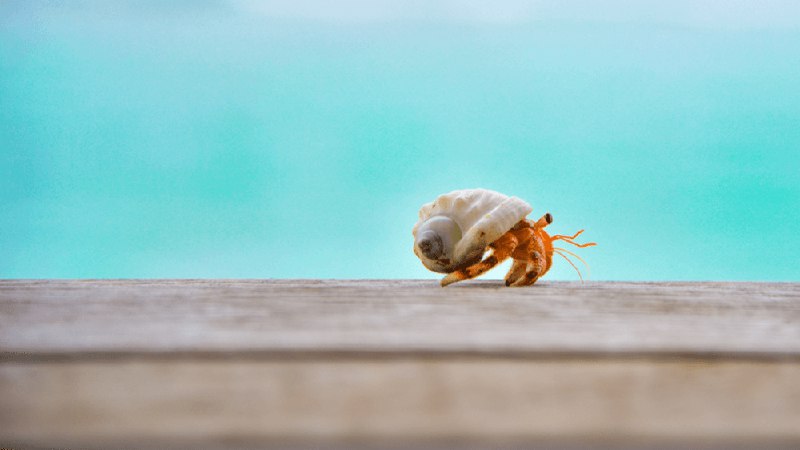 Using Laravel's Policies and Route Model Binding without Eloquent by Tim MacDonald